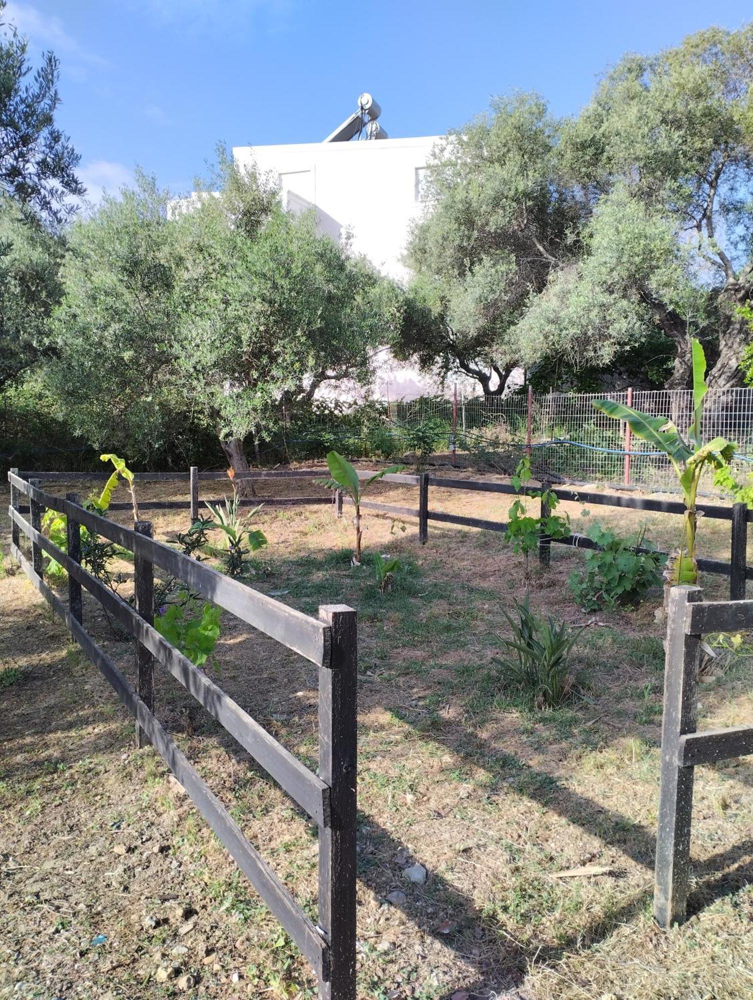 Olea Cottage Galatás Esterno foto